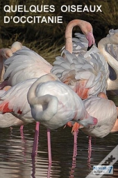 Quelques Oiseaux D'Occitanie