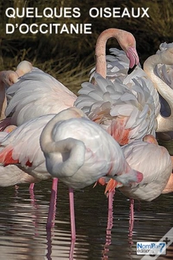 Capa do artigo Quelques Oiseaux D'Occitanie