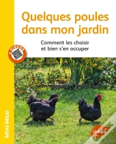 Quelques Poules Dans Mon Jardin