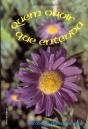 Quem Ouvir que Entenda - Preview