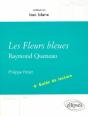 Queneau Les Fleurs Bleues Plus Guide De Lecture - Preview