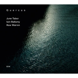 Capa do artigo Quercus - CD
