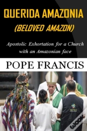 Capa do artigo Querida Amazonia (Beloved Amazon)