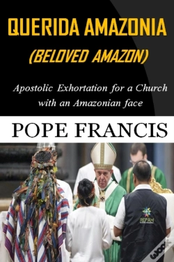 Capa do artigo Querida Amazonia (Beloved Amazon)