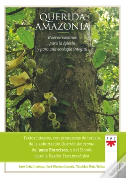 Capa do artigo Querida Amazonia