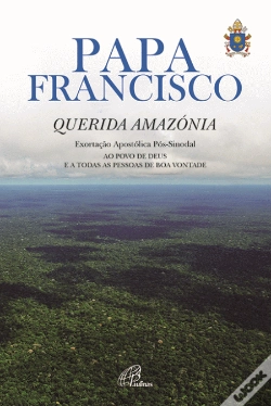Capa do artigo Querida Amazónia