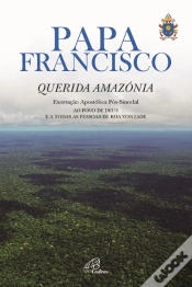 Capa do artigo Querida Amazónia
