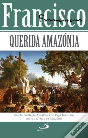 Capa do artigo Querida Amazónia