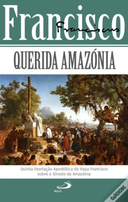 Capa do artigo Querida Amazónia