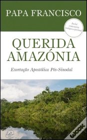 Capa do artigo Querida Amazónia