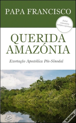 Capa do artigo Querida Amazónia
