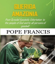 Capa do artigo Querida Amazonia