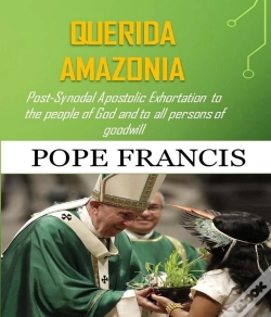 Capa do artigo Querida Amazonia
