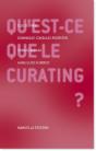 Qu'Est Ce Que Le Curating ? Sur Le Métier De Commissaire D'Exposition D'Art Contemporain - Preview