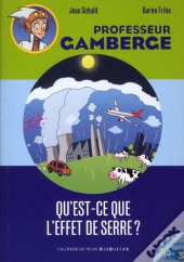 Qu'Est-Ce Que L'Effet De Serre?