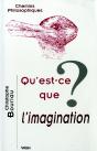 Qu'Est-Ce Que L'Imagination ? - Preview