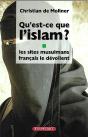 Qu'Est-Ce Que L'Islam ? Les Sites Musulmans Français Le Dévoilent - Preview