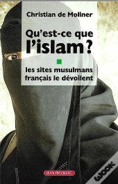 Qu'Est-Ce Que L'Islam ? Les Sites Musulmans Français Le Dévoilent