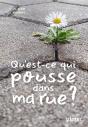 Qu'Est-Ce Qui Pousse Dans Ma Rue ? - Preview