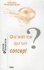 Qu'Est-Ce Qu'Un Concept ? - Preview