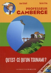 Qu'Est-Ce Qu'Un Tsunami?