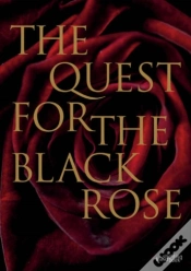 Capa do artigo Quest For The Black Rose