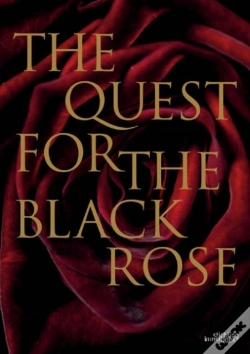 Capa do artigo Quest For The Black Rose