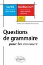 Question De Grammaire Pour Les Concours ; Capes Agrégation - Preview