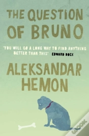 Capa do artigo Question Of Bruno