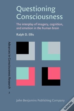 Capa do artigo Questioning Consciousness