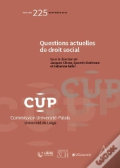 Questions Actuelles De Droit Social