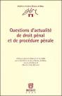 Questions D'Actualite De Droit Penal Et De Procedure Penale - Preview