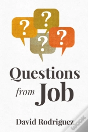 Capa do artigo Questions From Job