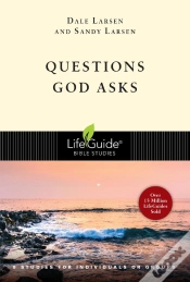 Capa do artigo Questions God Asks