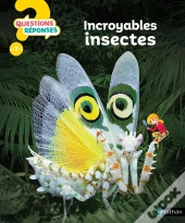 Questions Réponses 7+ : Incroyables Insectes