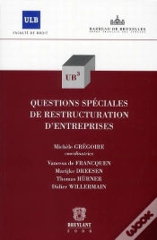 Capa do artigo Questions Spéciales De Restructuration Des Entreprises