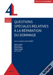 Capa do artigo Questions Spéciales Relatives À La Réparation Du Dommage