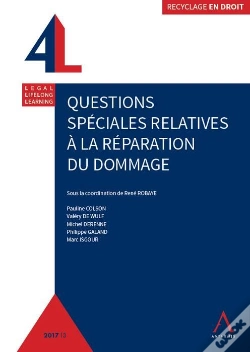 Capa do artigo Questions Spéciales Relatives À La Réparation Du Dommage
