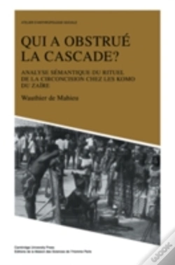 Capa do artigo Qui A Obstrue La Cascade?