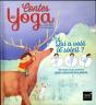 Qui A Vole Le Soleil ? - Preview