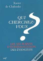 Qui Cherchez-Vous ? Les 550 Points D'Interrogation Des Évangiles