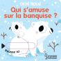 Qui S'Amuse Sur La Banquise ? - Preview