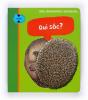 Qui Sóc? - Preview