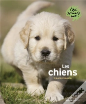 Capa do artigo Qui Sommes-Nous Titre A
