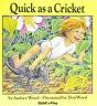 Quick As A Cricket (Giant Lap Book) - Preview