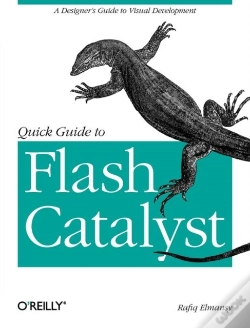Capa do artigo Quick Guide To Flash Catalyst