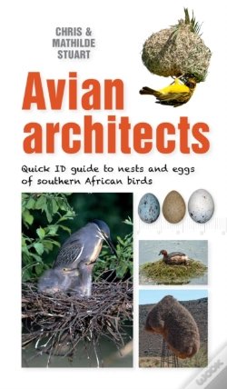 Capa do artigo Quick Id Guide - Avian Architects