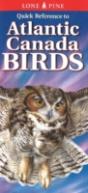 Quick Reference To Atlantic Canada Birds - Preview