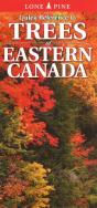 Quick Reference To Trees Of Eastern Canada - Preview