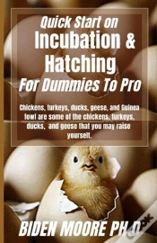 Capa do artigo Quick Start On Incubation & Hatching For Dummies To Pro